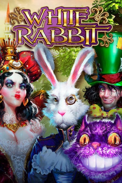 White Rabbit