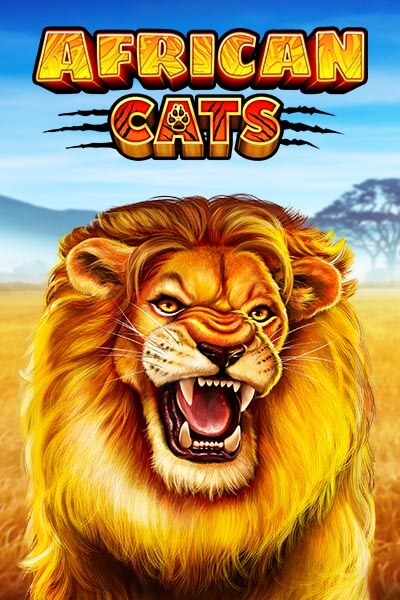 African Cats
