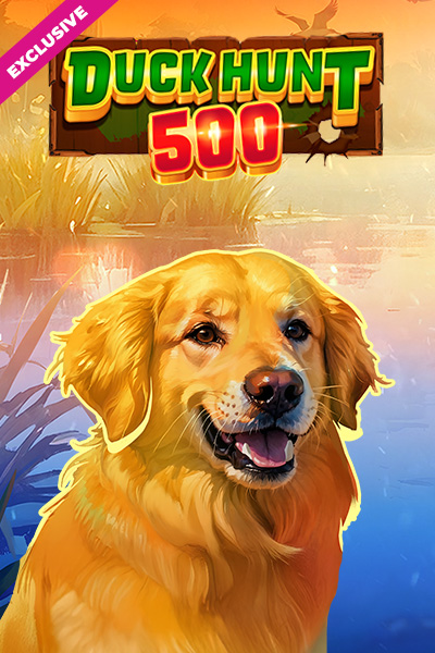 Duck Hunt 500